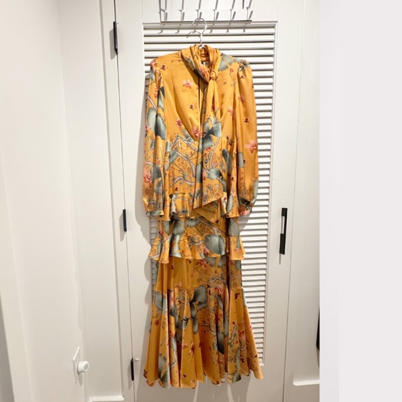 Johanna Ortiz x H&M Long Dress with Scarf Collar - Picture 4 of 7